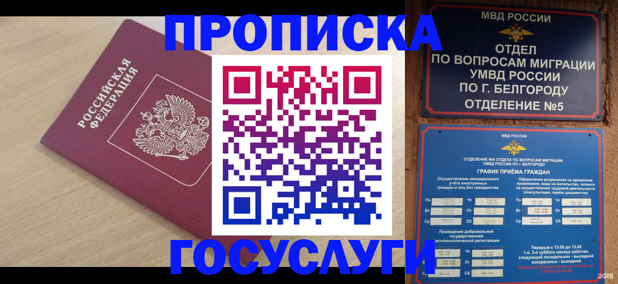 прописка законно в Краснокаменске